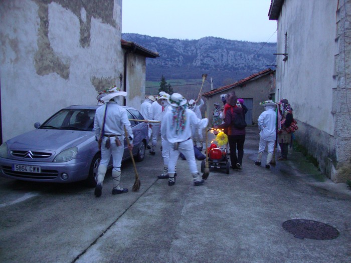 Ihabarren hartza askatu dute - 19