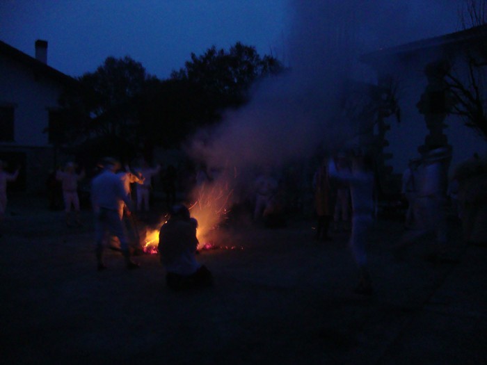 Ihabarren hartza askatu dute - 36