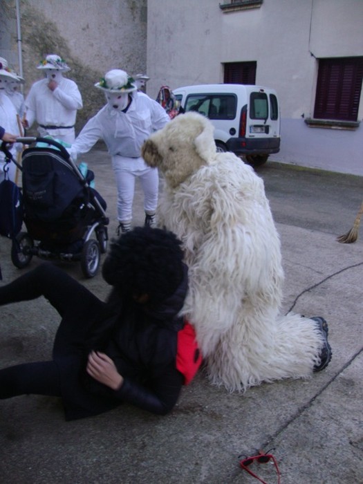 Ihabarren hartza askatu dute - 14