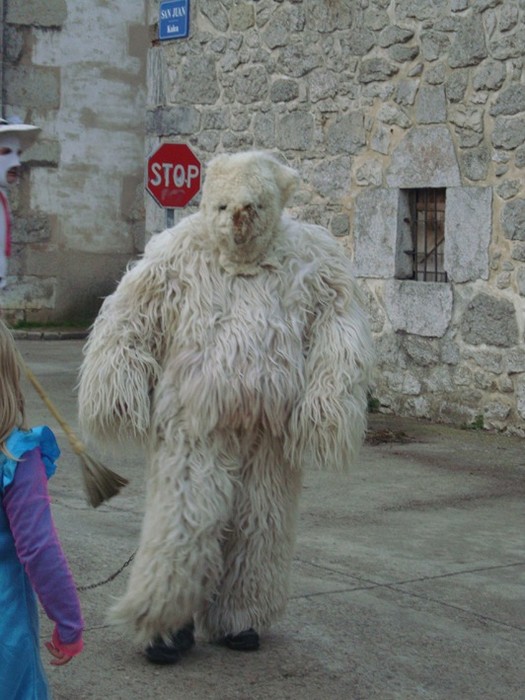 Ihabarren hartza askatu dute - 40