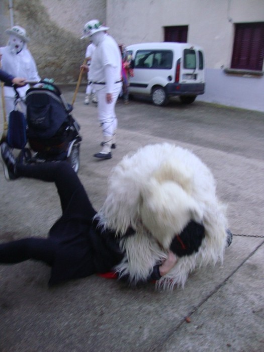 Ihabarren hartza askatu dute - 13