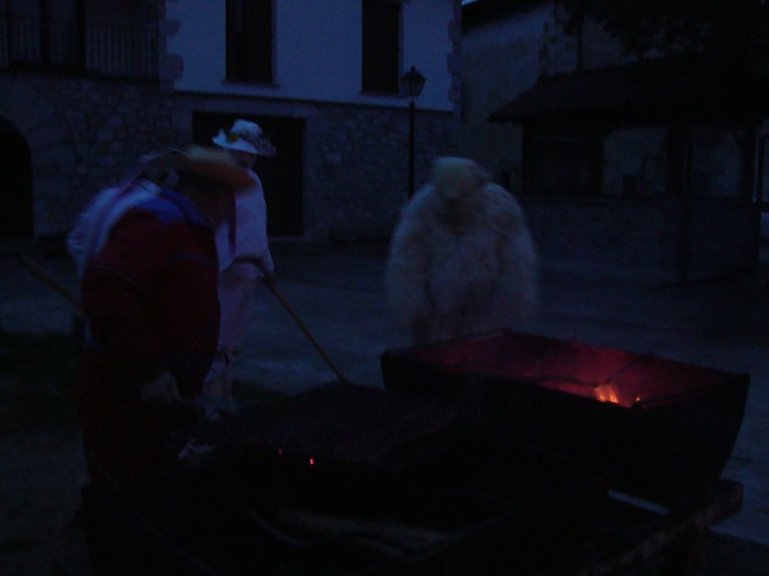 Ihabarren hartza askatu dute - 31