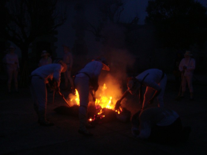 Ihabarren hartza askatu dute - 28