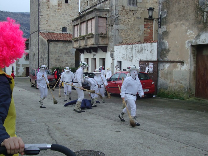 Ihabarren hartza askatu dute - 22