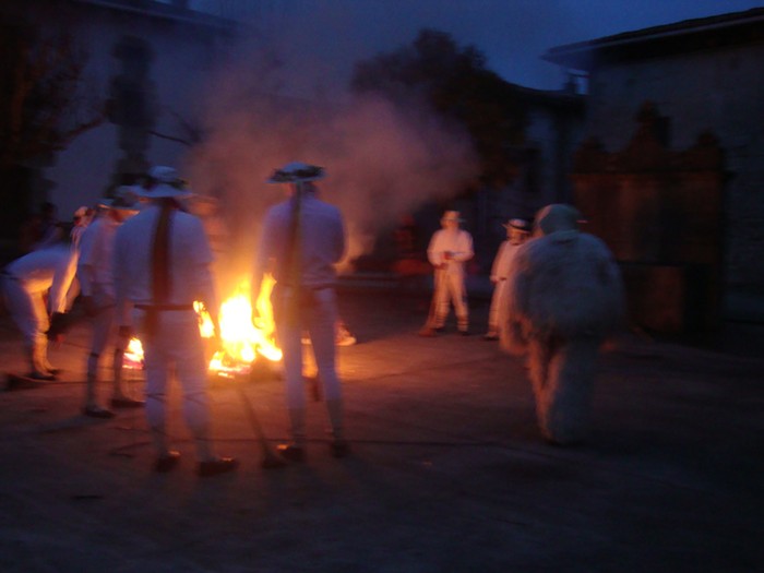 Ihabarren hartza askatu dute - 30