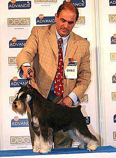 Errege kopa Irañetara