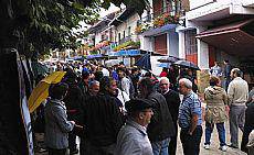 Txistorra Eguna, probetxuzkoa