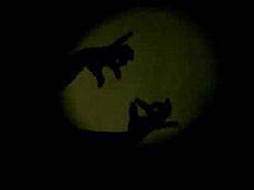 Itzal txinatarrak Olaztin