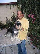 Bosgarren aldiz irabazi du Alberto Velascok Berriozarko txakur-erakusketa