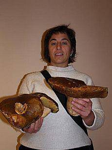 Onddo ikusgarriak