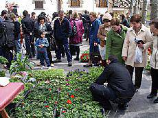 Plaza berriro loretuko da