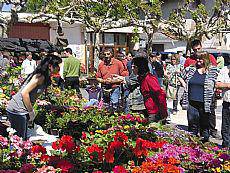Plaza loretuta