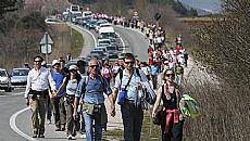 Erromesak Xabierko bidean