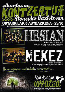 Hesian eta Nekez elkartasun kontzertuan