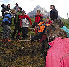 Oinez basoaren hazia 