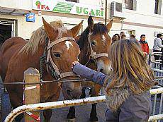 Azienda larria eta salmenta postuak ferietan