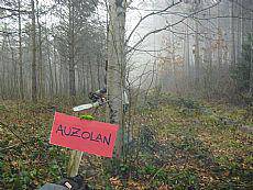 Auzolana basoitxin