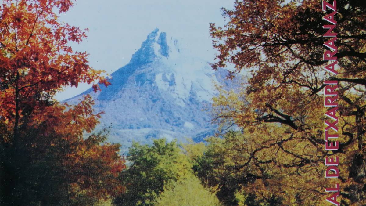 Etxarriko abesbatzaren diskoa