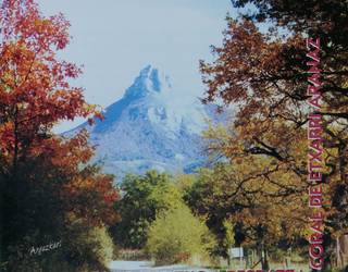 Etxarriko abesbatzaren diskoa