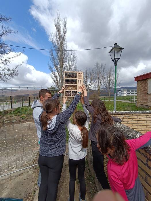 Etxarri Aranazko eskolak intsektuetan eta naturan oinarritutako jasangarritasun proiektua eraman du aurrera