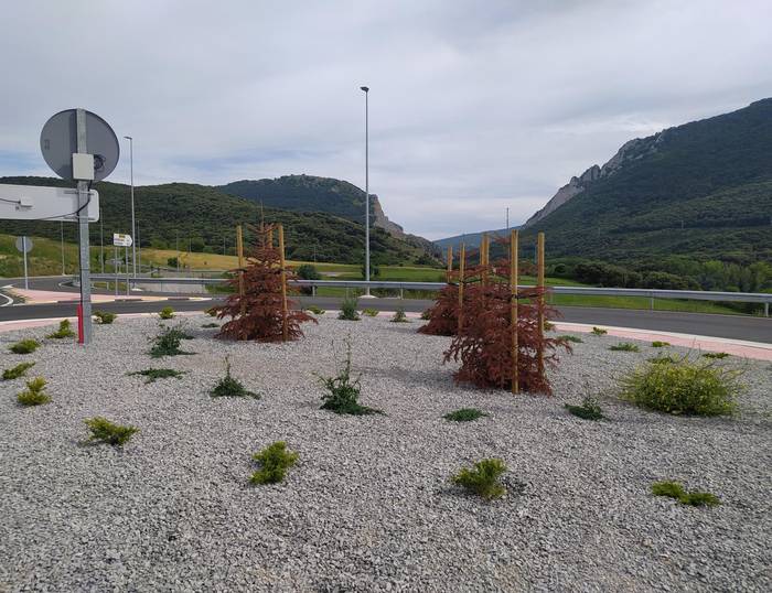 Borobilean gorrituta