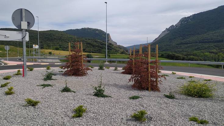 Borobilean gorrituta