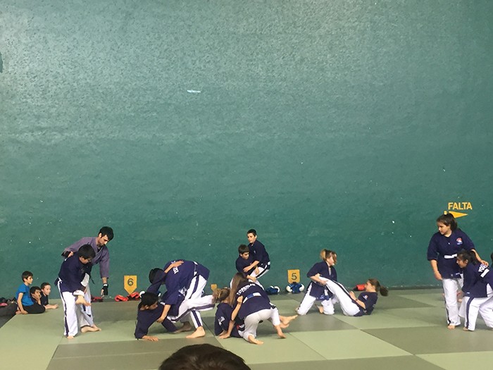 Euskal Herriko yoseikan budo topaketa