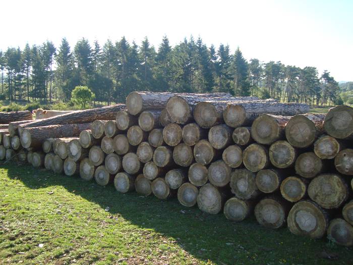 Gobernuak Urbasako sei epaitza saldu nahi ditu