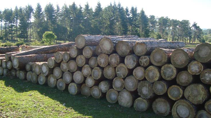 Gobernuak Urbasako sei epaitza saldu nahi ditu