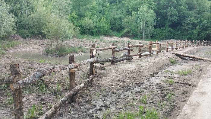 Putzu parea igel jauzkaria laguntzeko