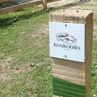 Koskobilora bisita gidatua