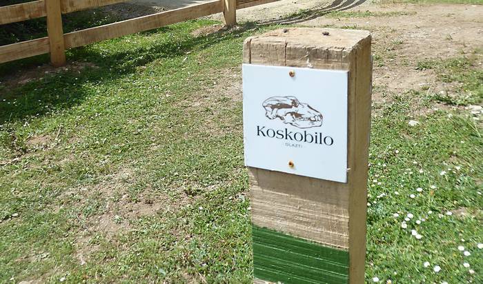 Koskobilora bisita gidatua
