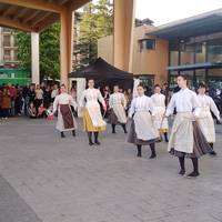 Altsasu dantzarien topagune