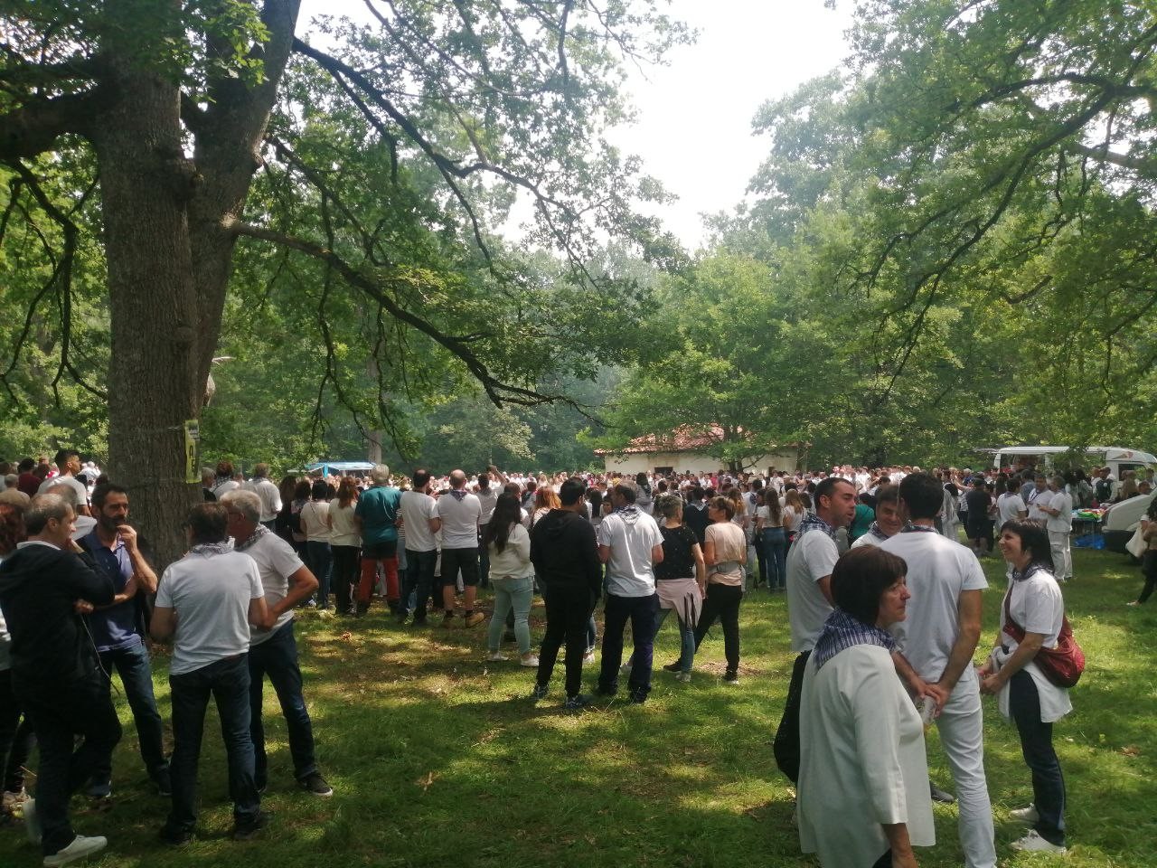 Altsasuko egun handia