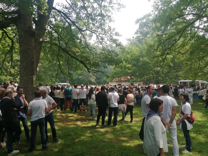 Altsasuko egun handia