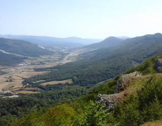 Herritar bat autoarekin harrapatzen saiatzeagatik zigortuta