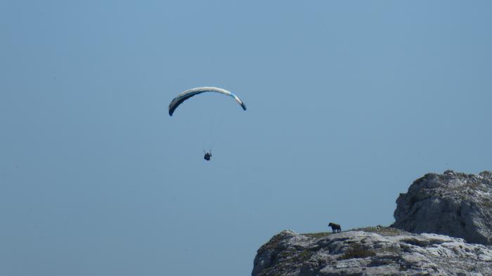Sakana Parapente eguna. Hegaldiak eta mokadutxoak hartzeko aukera.