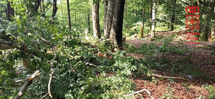 Gizonezkoa lan istripuan hila