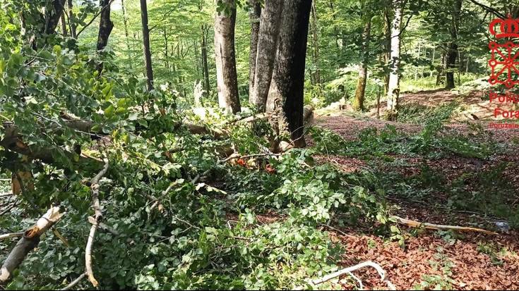 Gizonezkoa lan istripuan hila