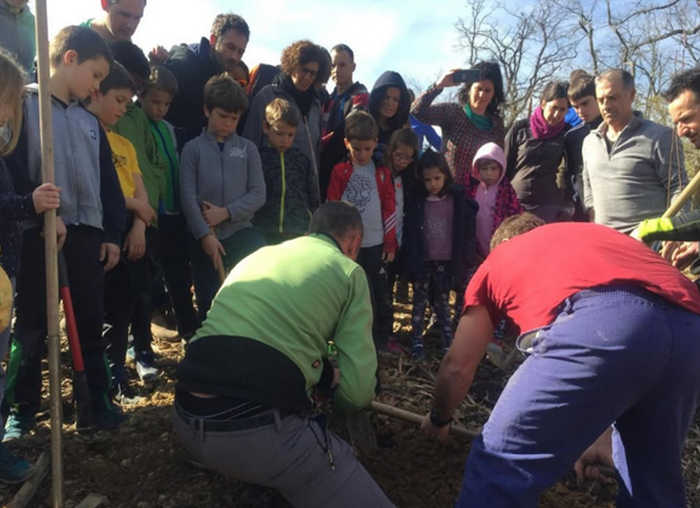 METEIen egindako zuhaitz landaketara bisita