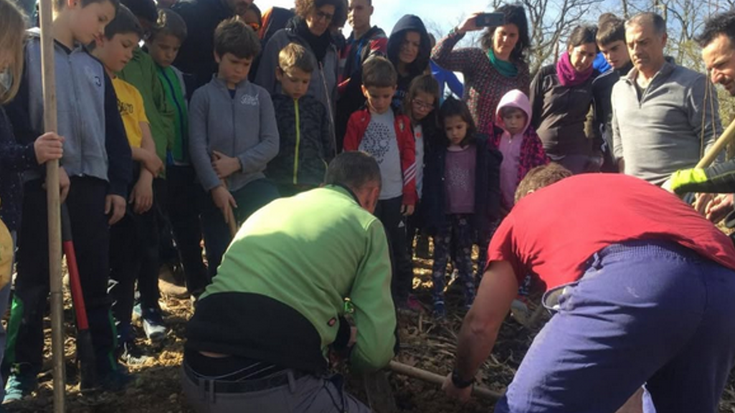 METEIen egindako zuhaitz landaketara bisita