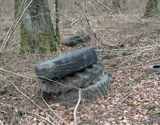 Hondakinak botatzeagatik salaketa Ergoienan