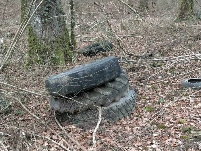 Hondakinak botatzeagatik salaketa Ergoienan