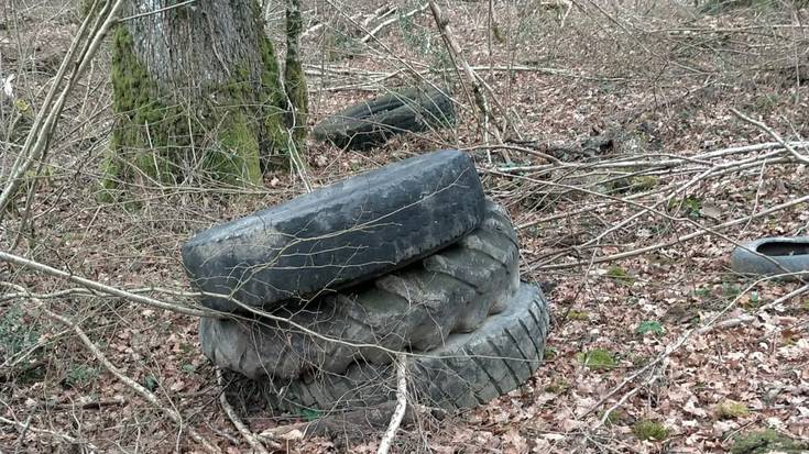 Hondakinak botatzeagatik salaketa Ergoienan