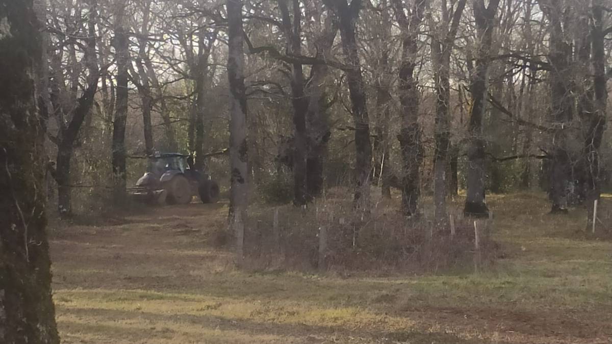 Teileriko zabala sasiz garbi