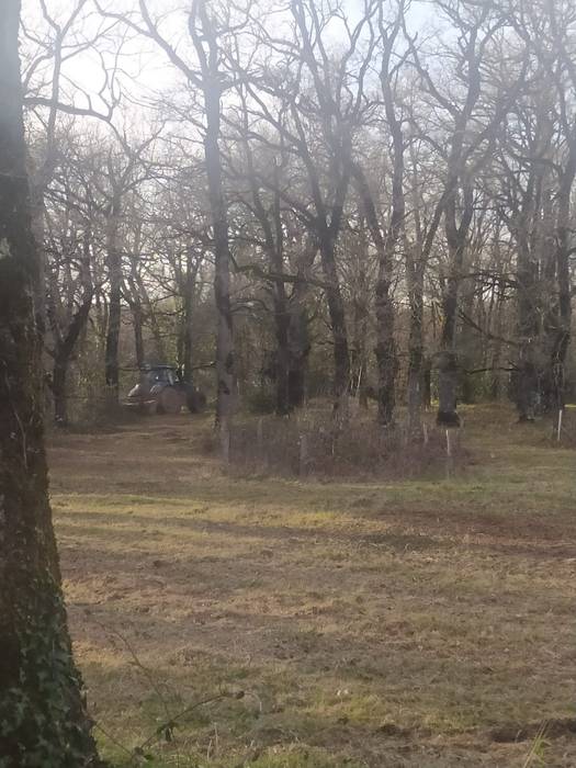 Teileriko zabala sasiz garbi