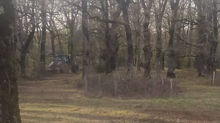 Teileriko zabala sasiz garbi