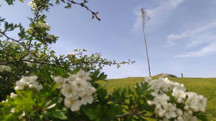 Maiatzarenak egin du