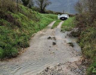 Arakilen abeltzaintza azpiegiturak hobetu nahi dituzte