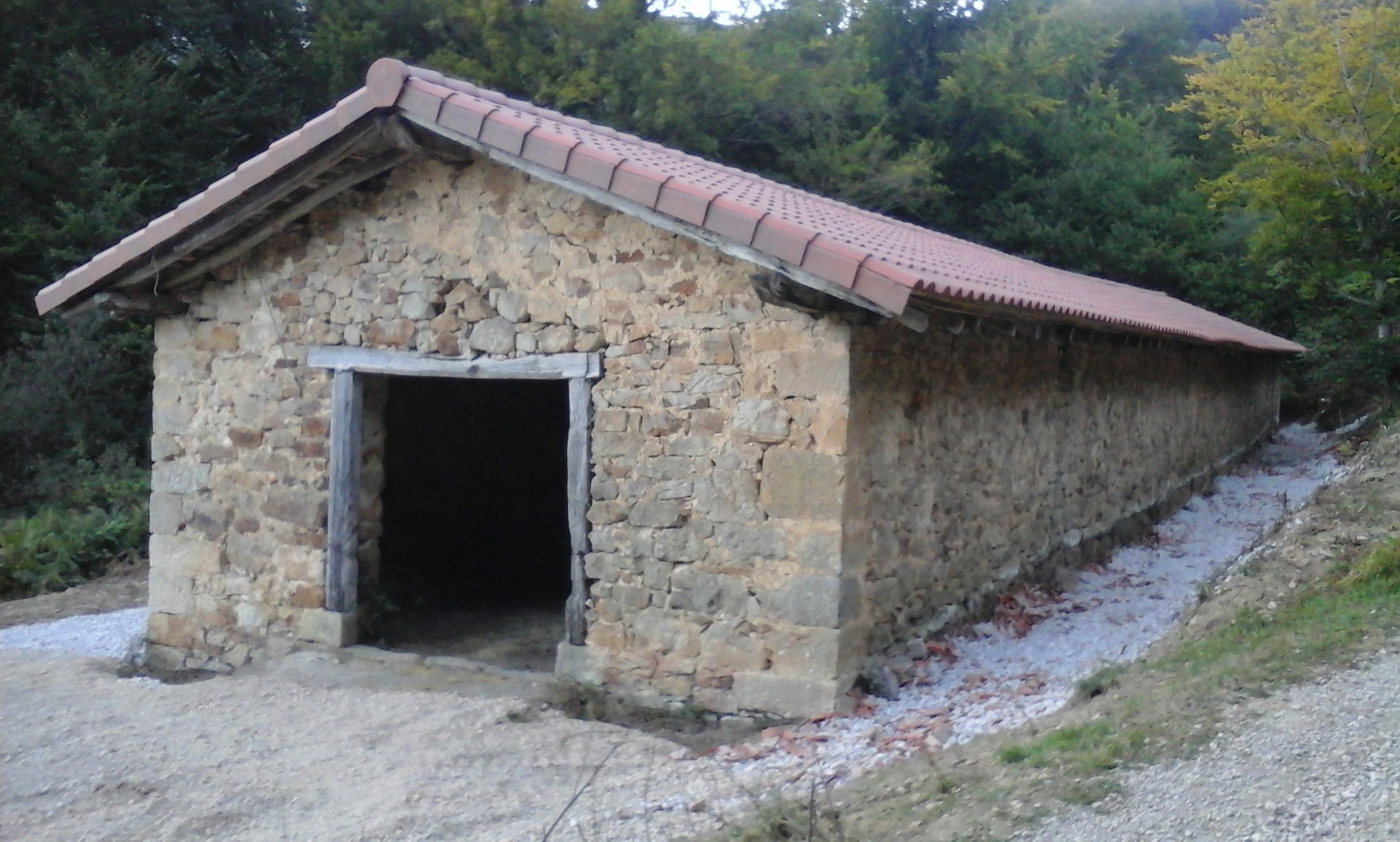 Hirumuga eta mustutzea 